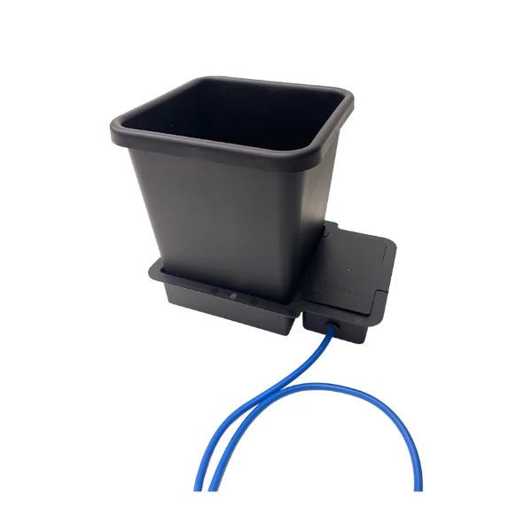 1Pot Module