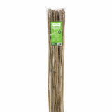 Bamboo Stakes