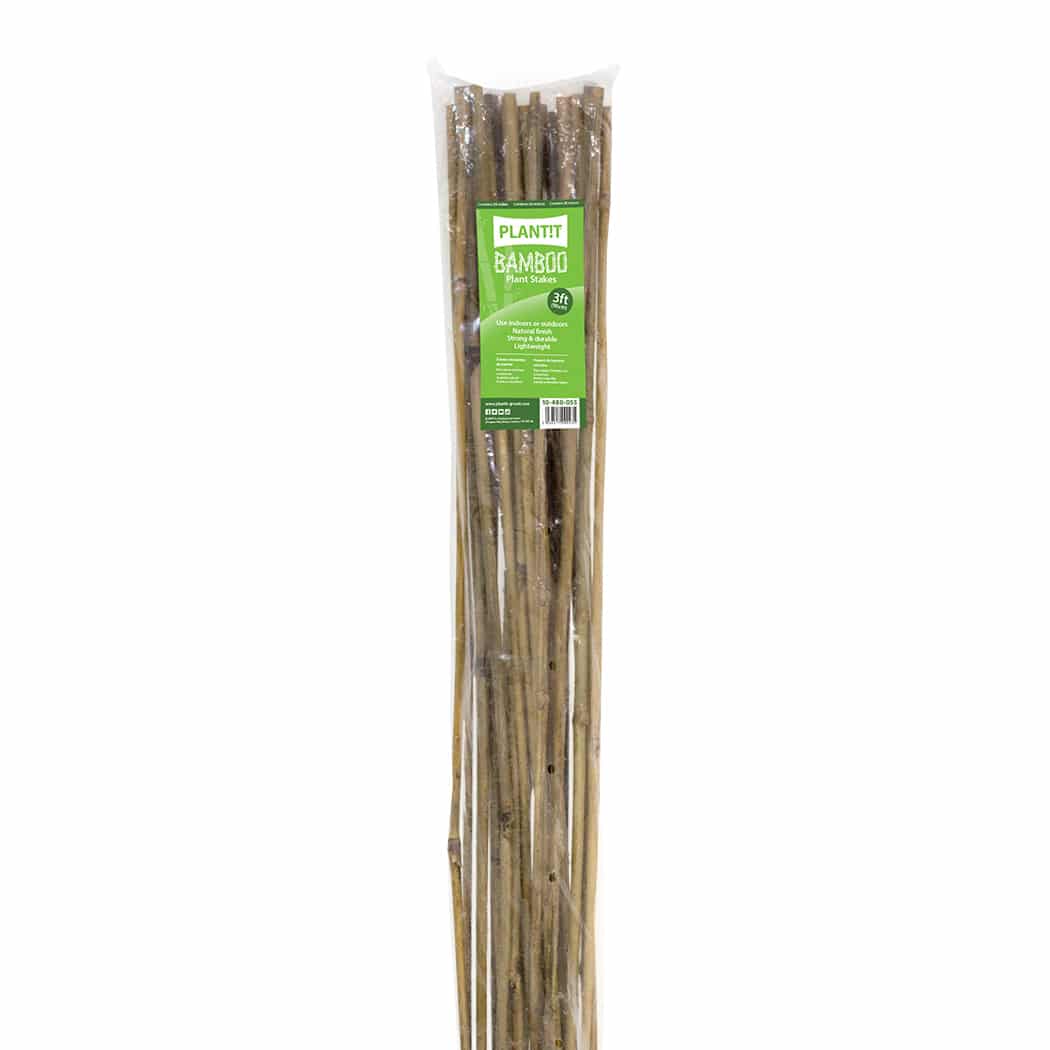 Bamboo Stakes