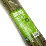 Bamboo Stakes
