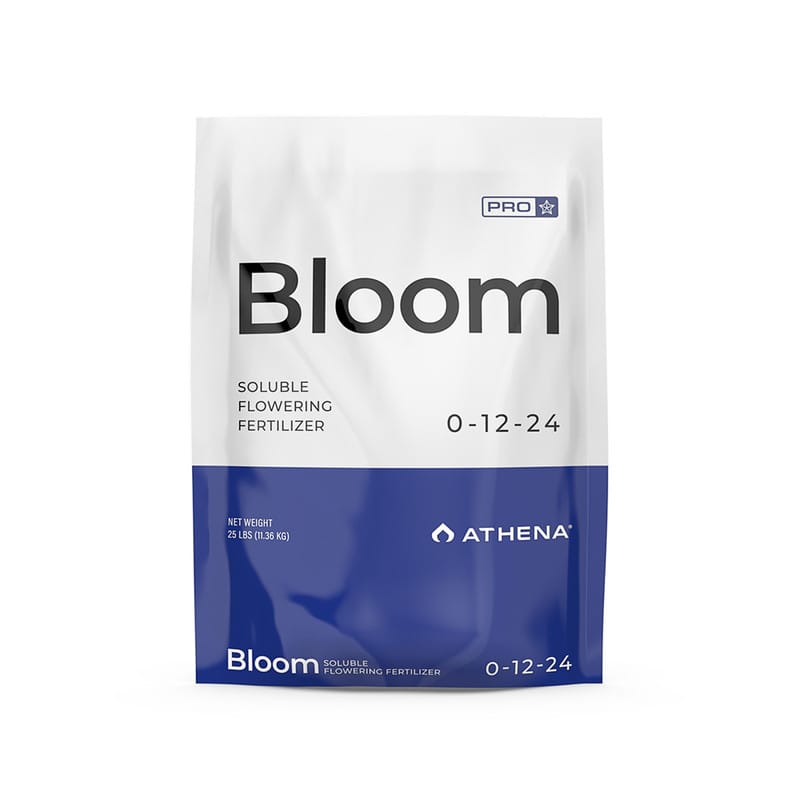 Athena Bloom