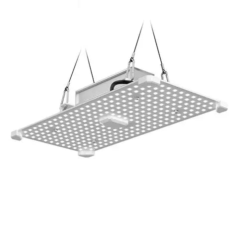 LUMii Black Blade LED - RSA Plug - Hydro Herb Africa