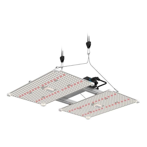 LUMii Black Blade LED - RSA Plug - Hydro Herb Africa