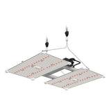 LUMii Black Blade LED - RSA Plug - Hydro Herb Africa