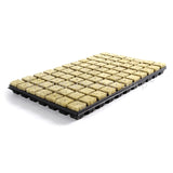 Cultiwool CRB Large Propagator Plugs in a Tray