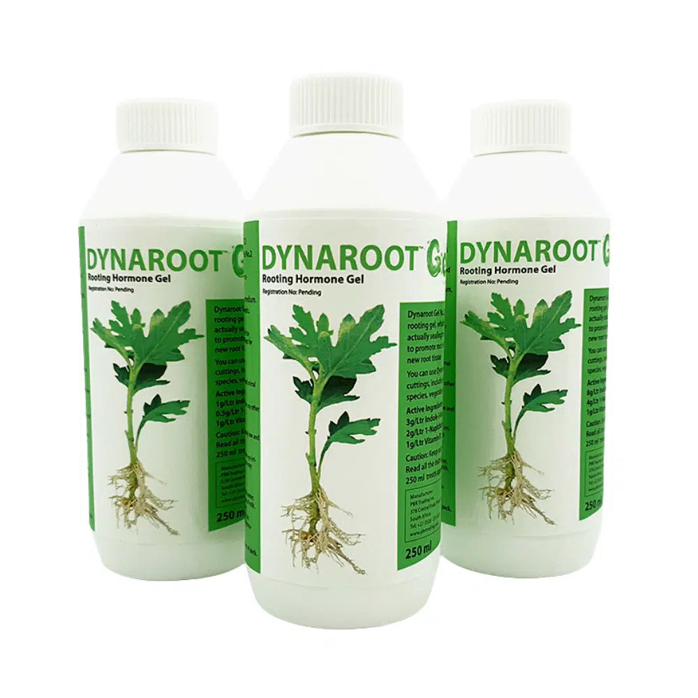 DynaRoot Gel No.3 - Hardwood Cuttings