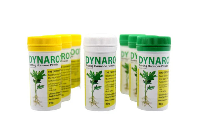 DynaRoot Powder No.2 - Semi-Hardwood Cuttings