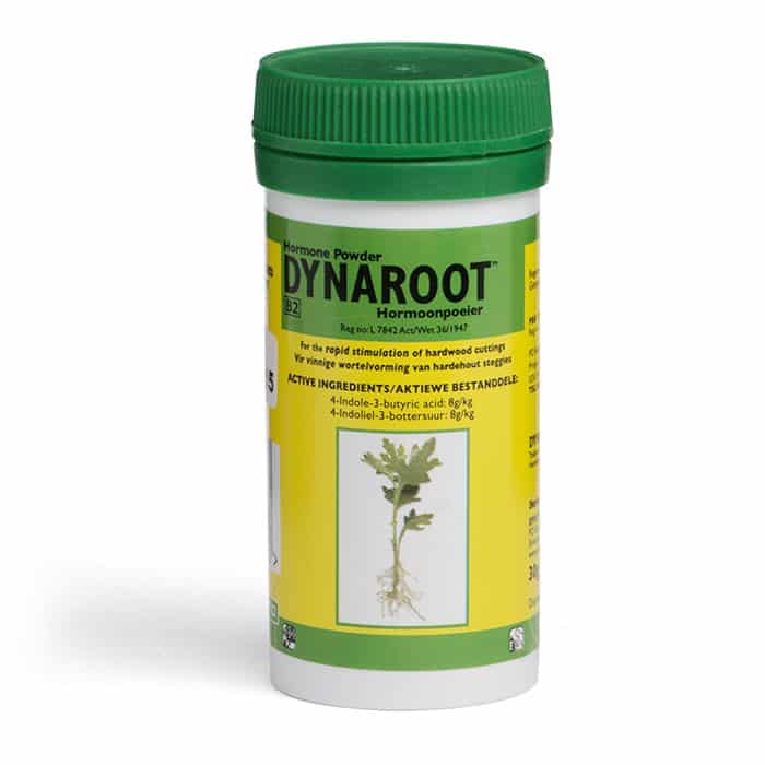DynaRoot Powder No.3 - Hardwood Cuttings
