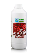EHG Bloom