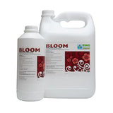 EHG Bloom