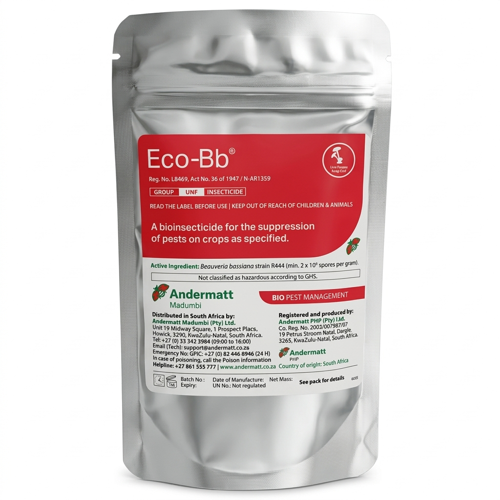 Eco-Bb