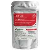 Eco-Bb