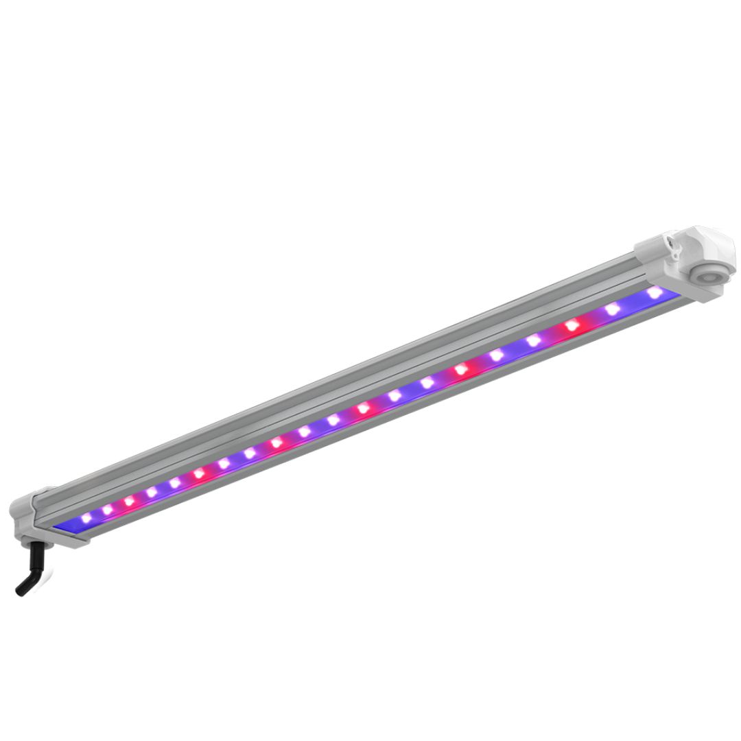 LUMii Black Bar 30w UV/FR LED - with Adaptor - Hydro Herb Africa