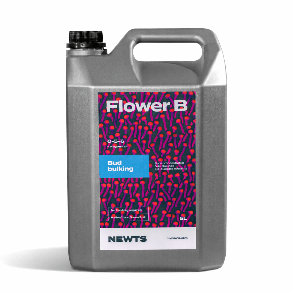 NEWTS Flower B - Hydro Herb Africa