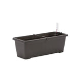 Plastia Flower Box Bergamot - 50cm - Hydro Herb Africa