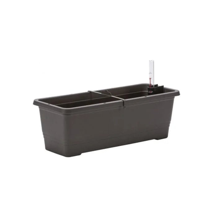 Plastia Flower Box Bergamot - 50cm - Hydro Herb Africa