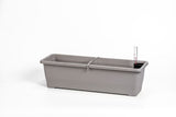 Plastia Flower Box Bergamot - 50cm - Hydro Herb Africa