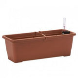 Plastia Flower Box Bergamot - 50cm - Hydro Herb Africa