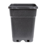 PotKing Square Pots
