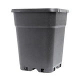 PotKing Square Pots