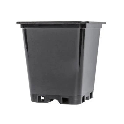 PotKing Square Pots