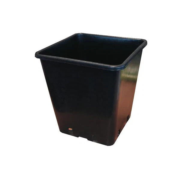 Square Pots