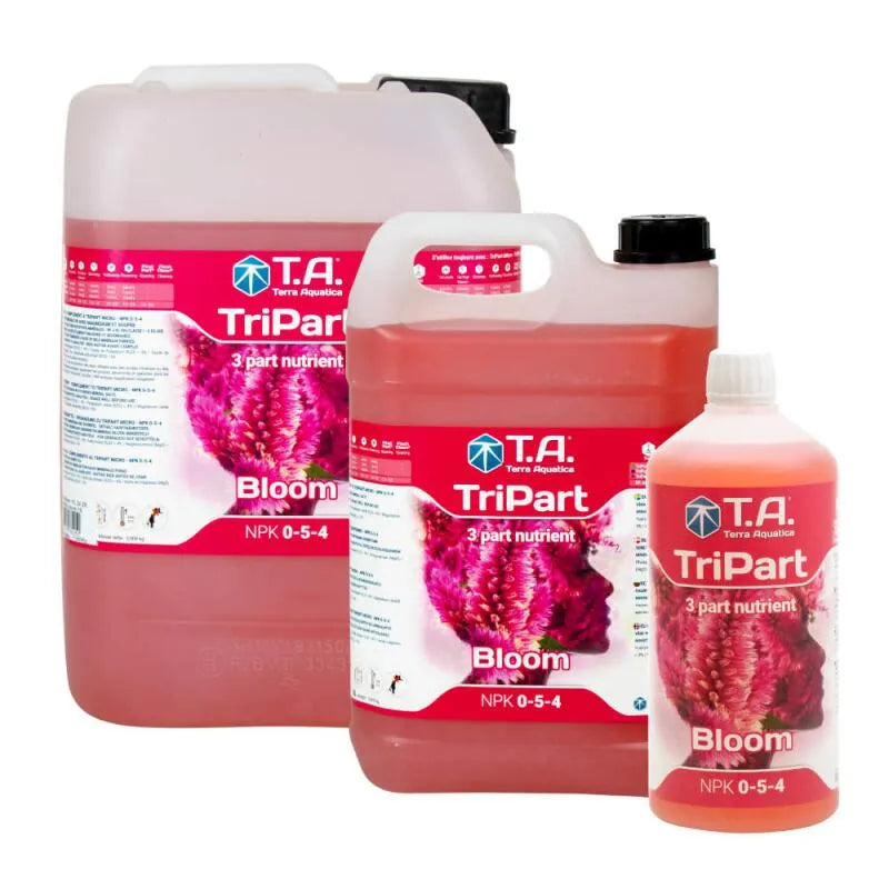 T.A Tri Part Bloom