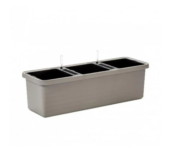 Urbalive Berberis - 30cm Balcony Box