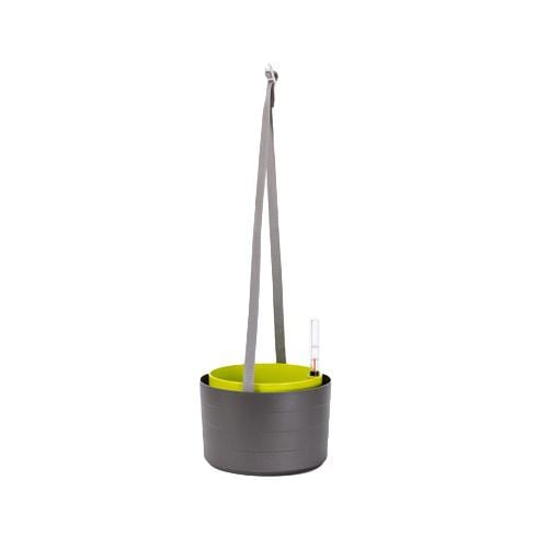 Urbalive Berberis Hanging Bowl - 26cm - Hydro Herb Africa
