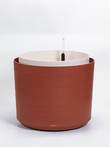 Urbalive Berberis Hanging Bowl - 26cm - Hydro Herb Africa