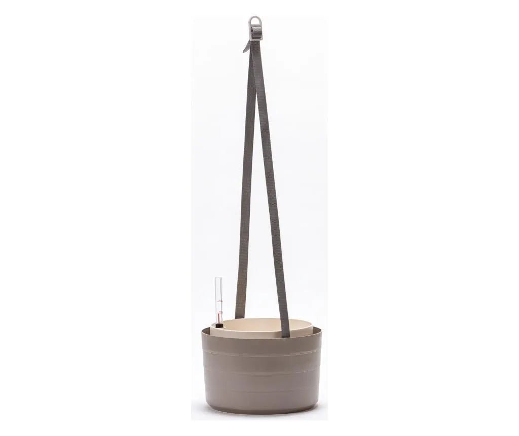 Urbalive Berberis Hanging Bowl - 30cm - Hydro Herb Africa