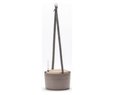 Urbalive Berberis Hanging Bowl - 30cm - Hydro Herb Africa