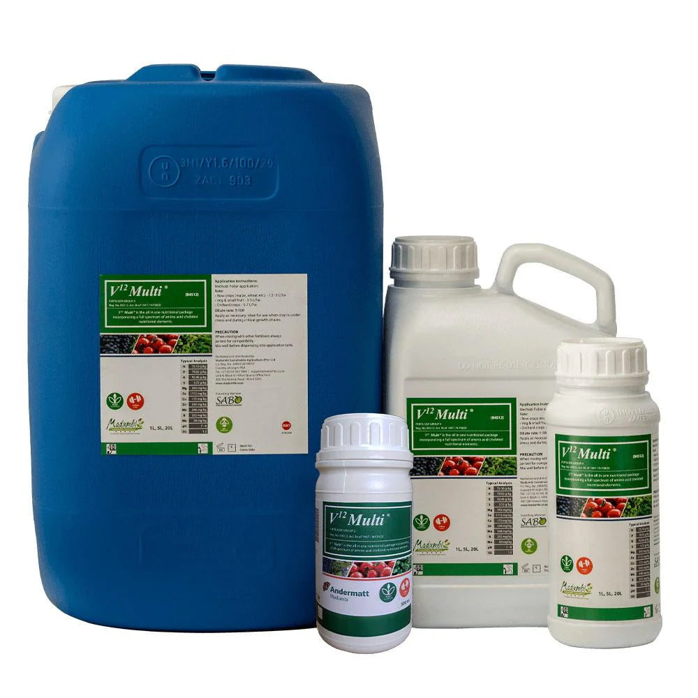 V12 Multi - 1L