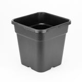 Wilma Square Pot