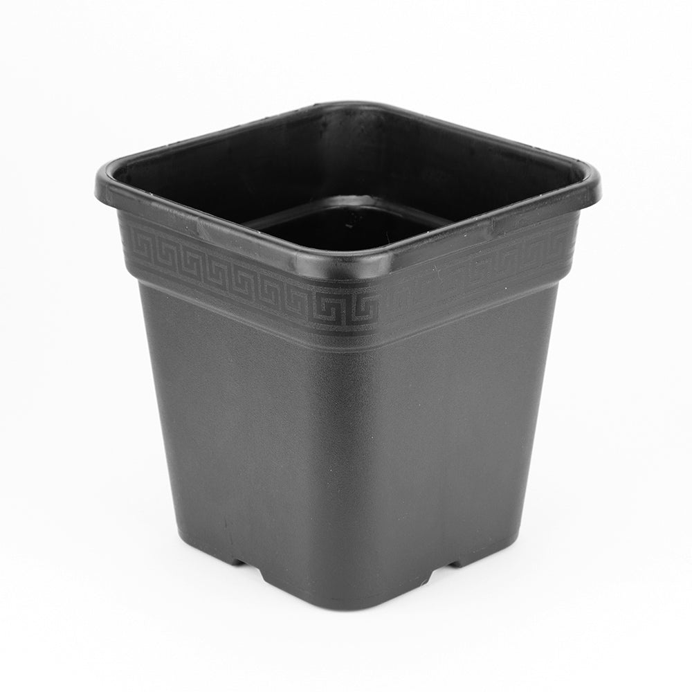 Wilma Square Pot