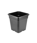Wilma Square Pot