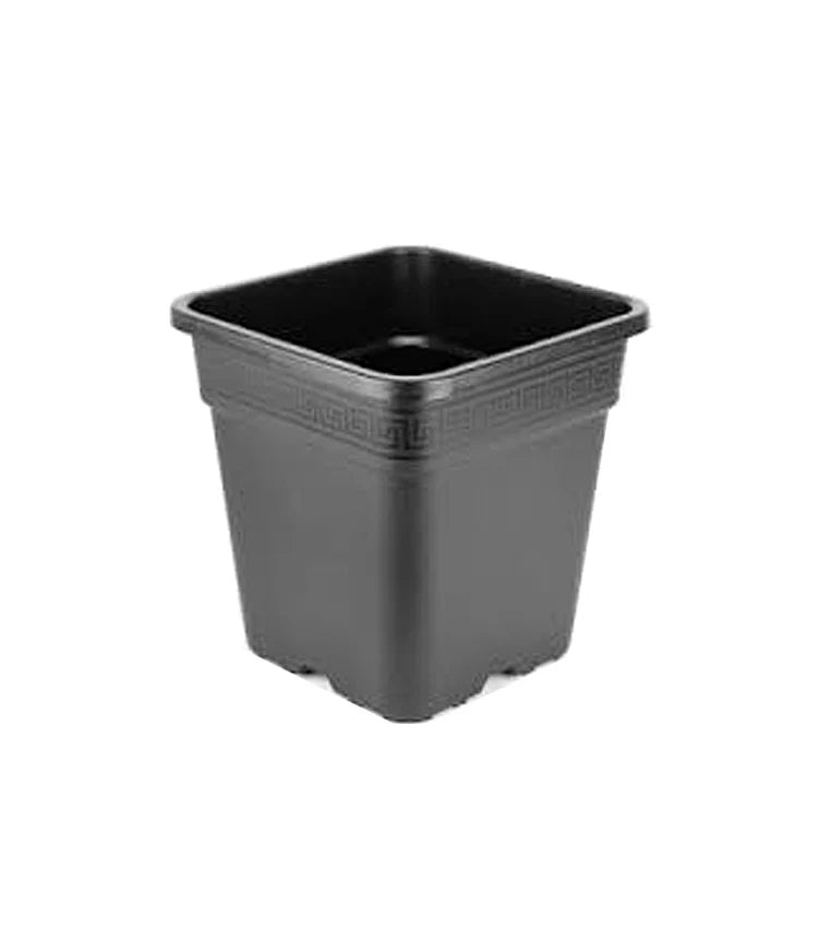 Wilma Square Pot