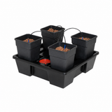 Wilma Large 4 Complete