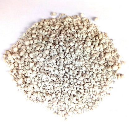 Perlite 100L Bag