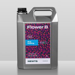 NEWTS Flower B